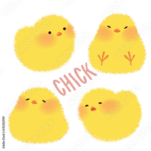 cute chicks character design set vector illustration
