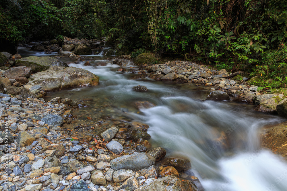 Nature landscape view of Deep forest clean river (image slightly long expo and motion blur)