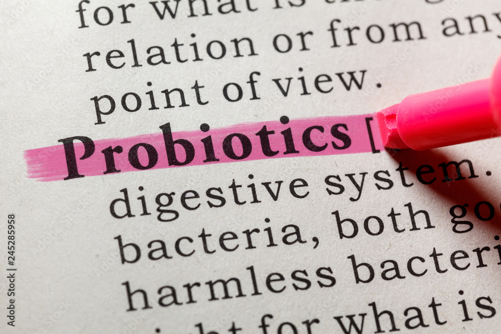 definition of probiotics - obrazy, fototapety, plakaty 