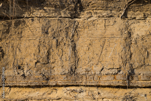 Wallpaper Mural Sandy layers of soil. Eroded bank of the river. Texture of earth. Torontodigital.ca