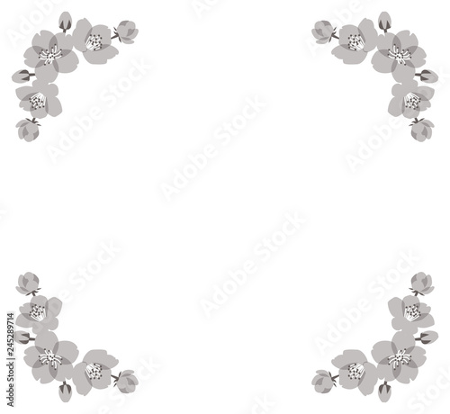 monochrome cherry blossom square frame