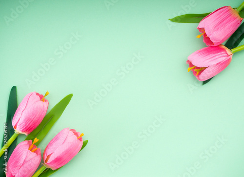 Fototapeta Naklejka Na Ścianę i Meble -  Pink tulips green paper background