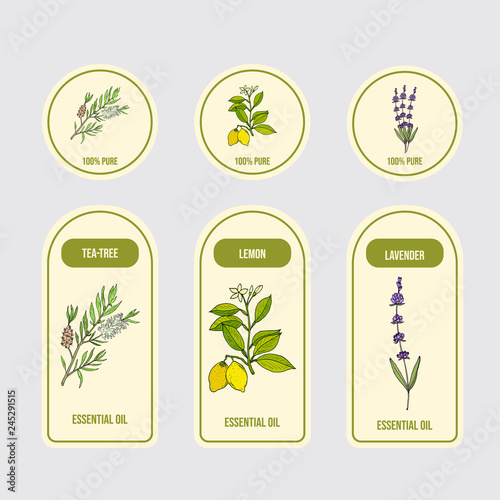 Set of essential oil labels