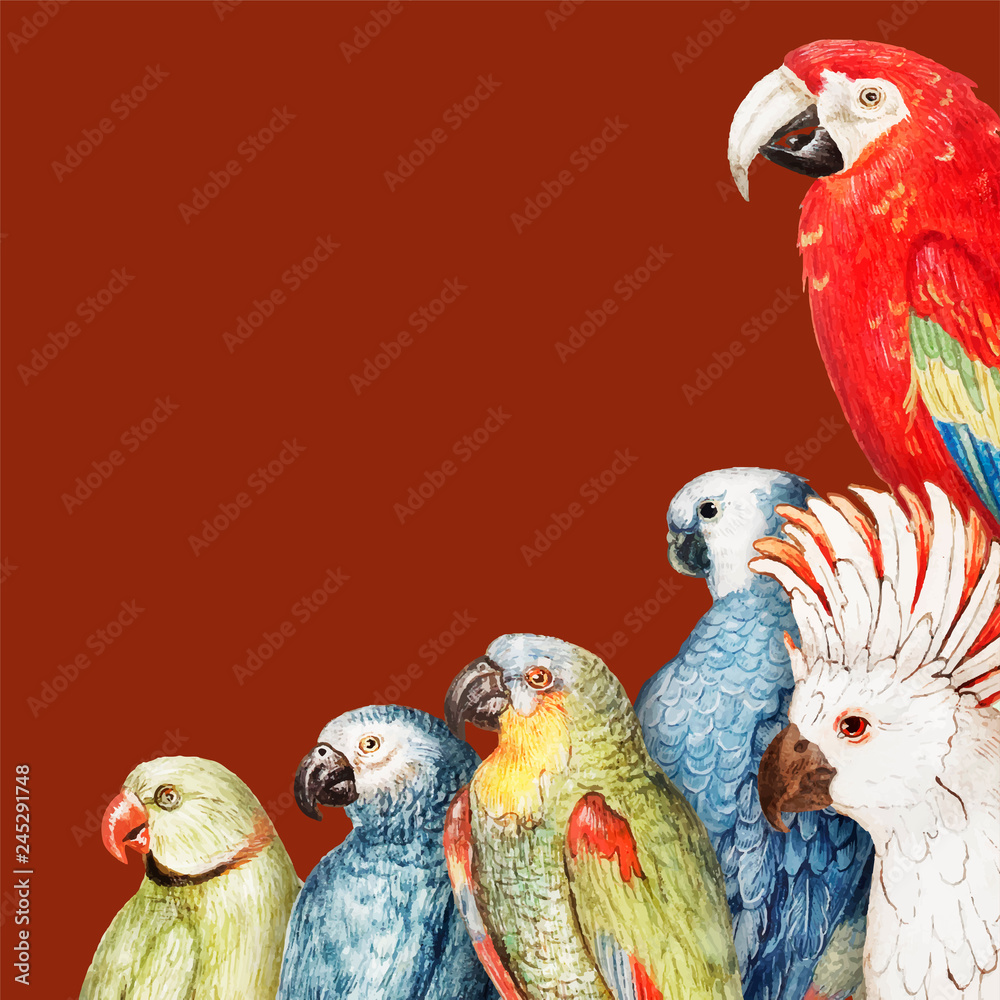 Naklejka premium Parrots border frame illustration