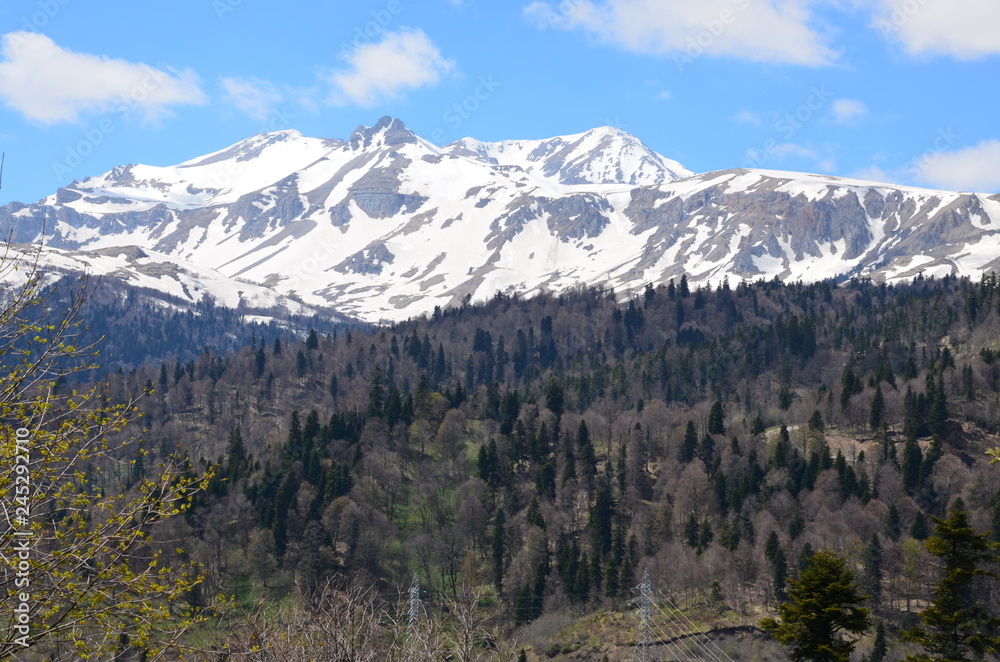 panoramic view of the mountains