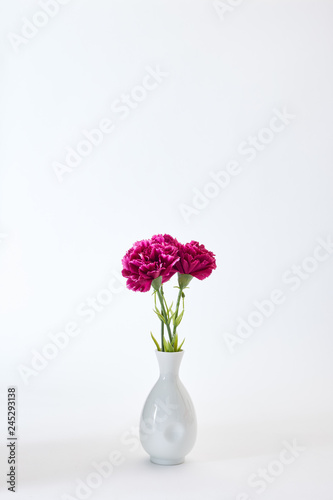 8 March Women's day Carnation