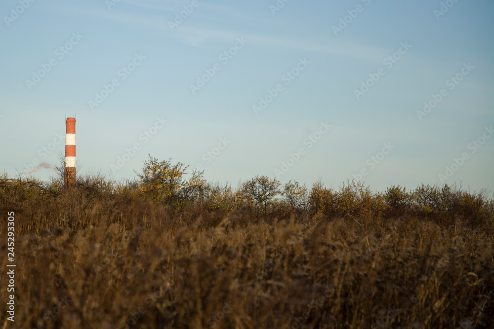 Beautiful natural background. Great background for your desktop. Harmony of nature. Relaxation for the eyes. Flora and environment. Beautiful natural background. Great background for your desktop. Harmony of nature. Relaxation for the eyes. Flora and environment.