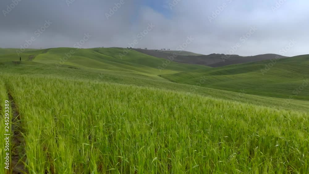Flying over green hills of Tuscany, Italy in spring. Aerial shot, 4K Flying over green hills of Tuscany, Italy in spring. Aerial shot, 4K