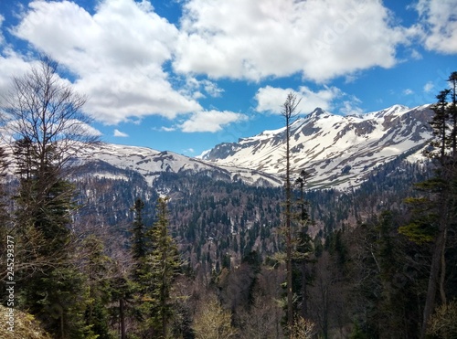 view of mountains