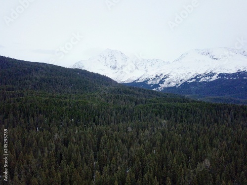 Views from the Chugach mountains in Alaska 