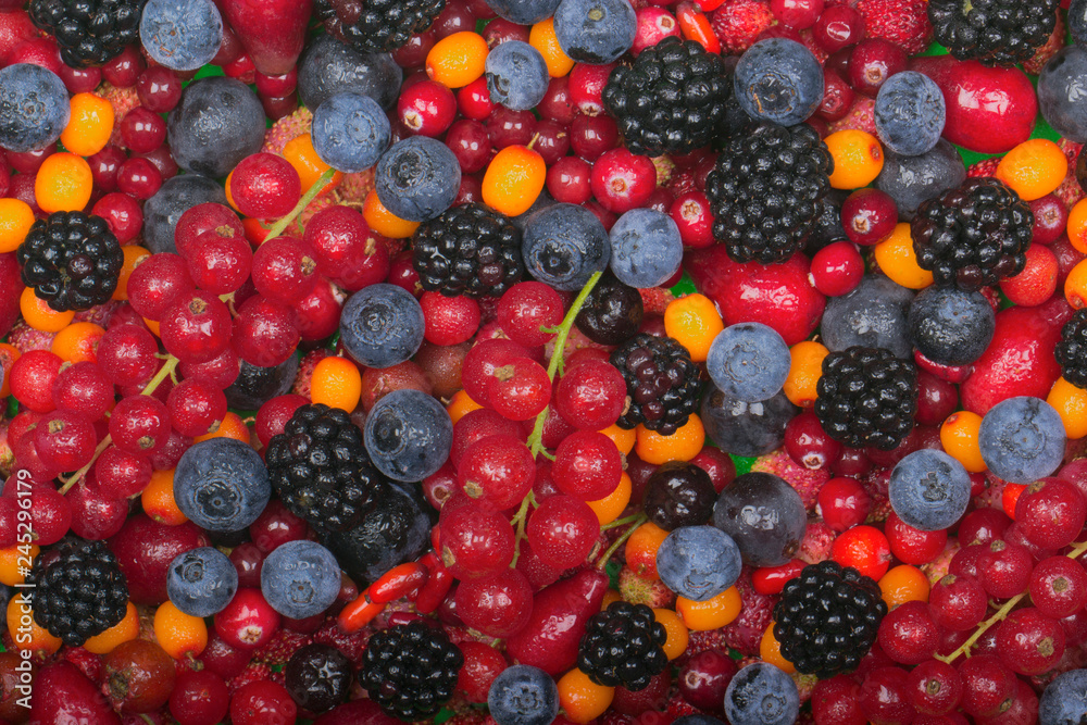 set of berries background set of berries background