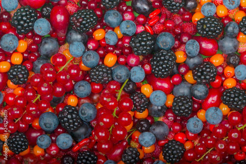 set of berries background