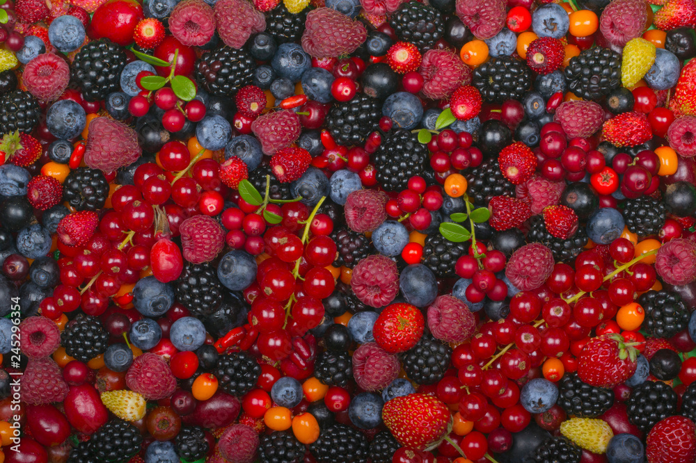 set of berries background set of berries background