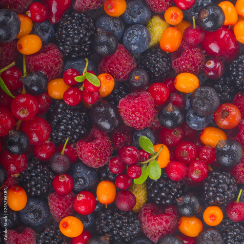 Fototapeta Naklejka Na Ścianę i Meble -  set of berries background