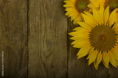 Fototapeta Naklejka Na Ścianę i Meble -  heap of sunflower on wooden background