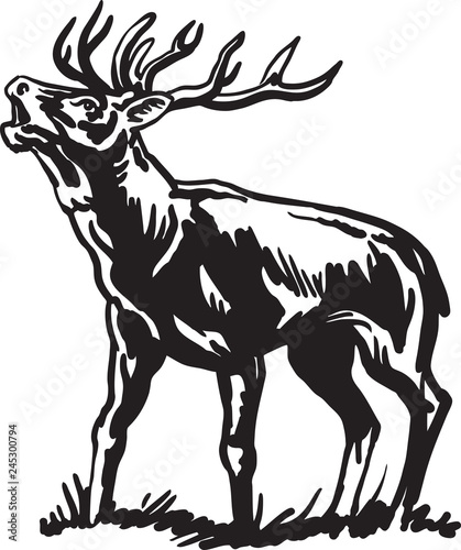 A sketch of a deer