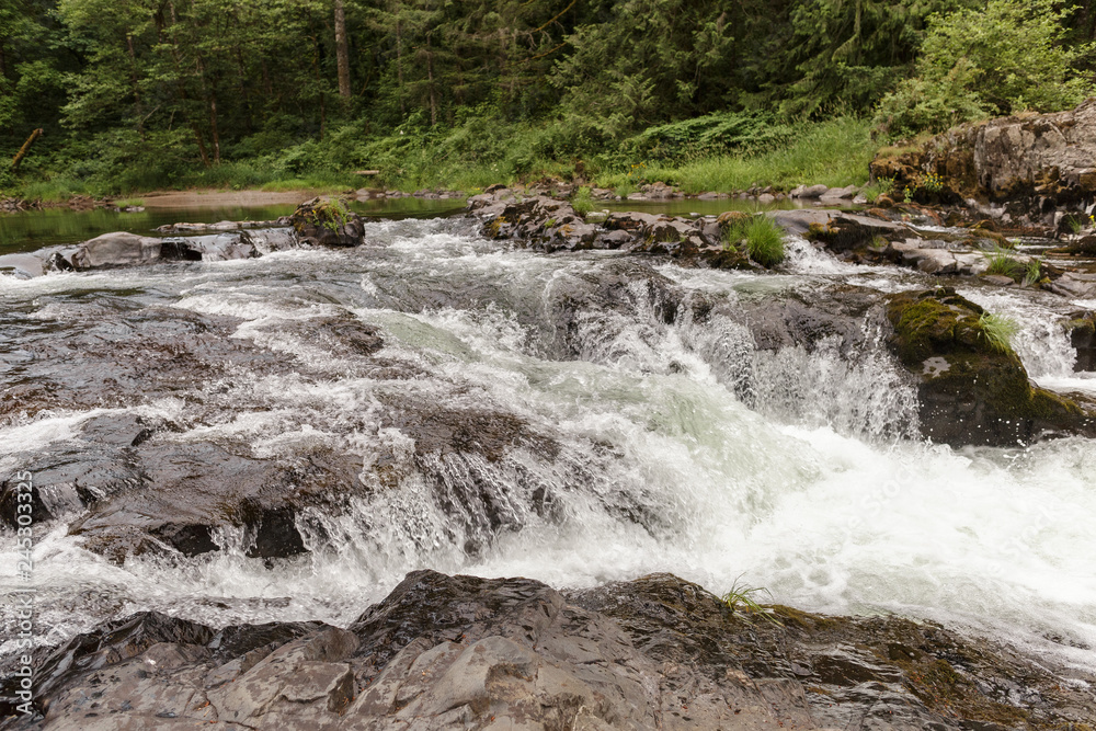 Naklejka premium Mountain river with small waterfall, rocks, forest