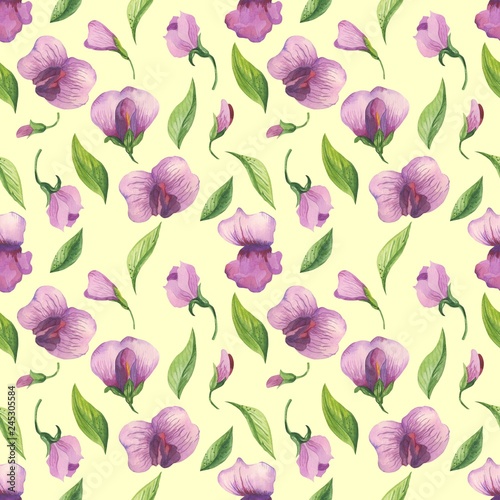 Watercolor floral pattern with sweet pea flowers. Flowers  leaves  pods and tendrils in a watercolour style.Elegant pattern for fashion prints for printing fabrics  paper  background  etc. - Illustrat