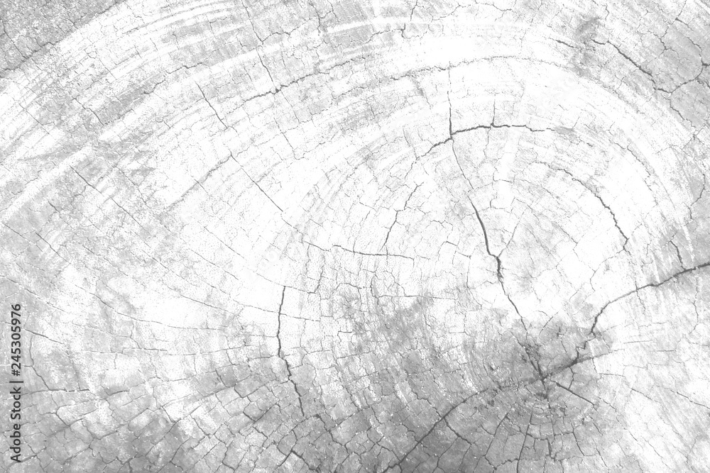 black  white  blur  wood texture background