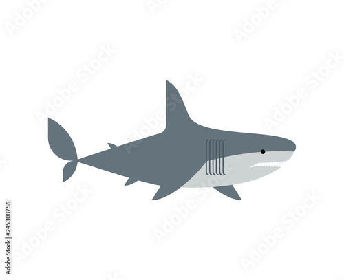 Shark isolated. Marine predator vector illustration. Large predatory sea fish. © maryvalery