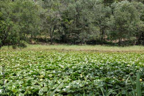Enoggera Reservoir, Australien, 2019