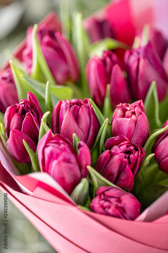 Naklejka premium Bouquets of violet tulips. Spring flowers from Dutch gardener. Concept of a florist in a flower shop. Wallpaper.