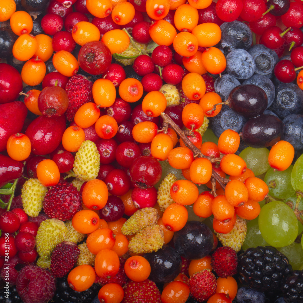 different berries background different berries background