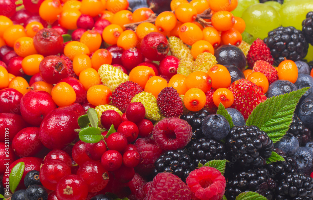 different berries background different berries background
