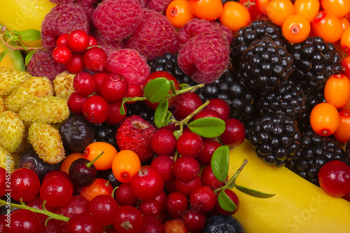 set of fruits and berries background