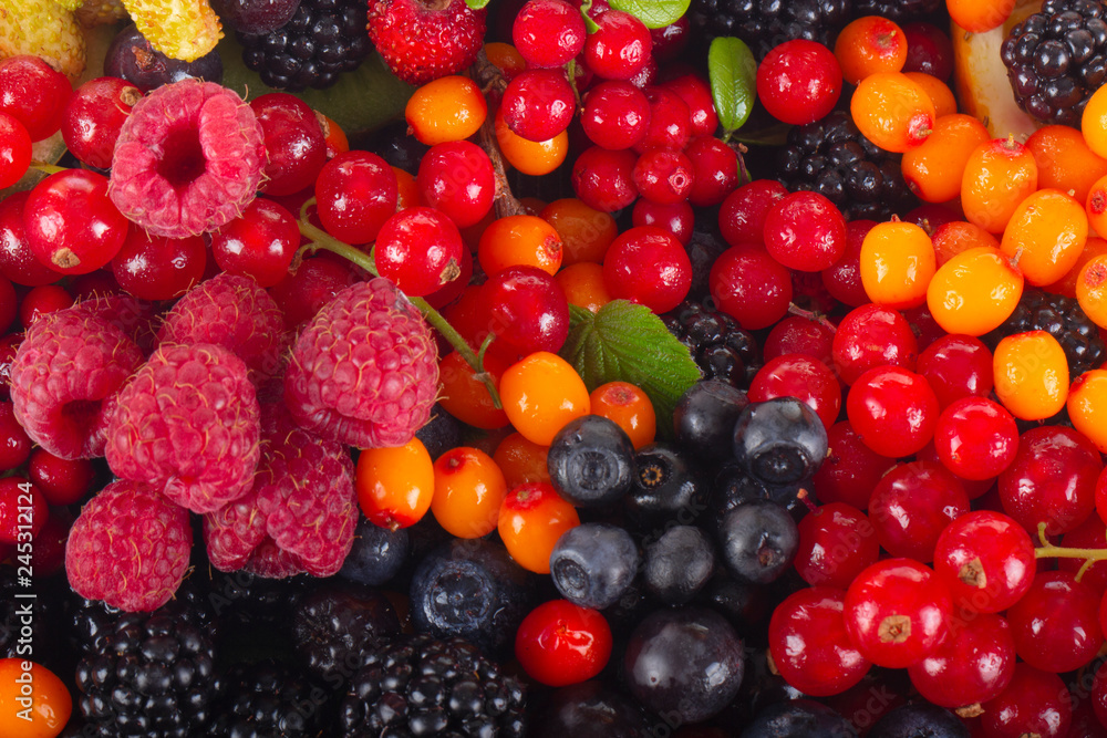 set of berries background set of berries background