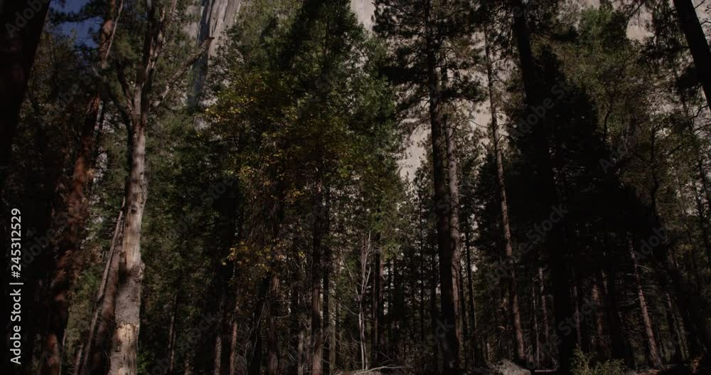 Tilt Shot of the sun shining on a beautiful mountain at Yosemite National Park, Califorina, Shot with Red Epic Tilt Shot of the sun shining on a beautiful mountain at Yosemite National Park, Califorina, Shot with Red Epic