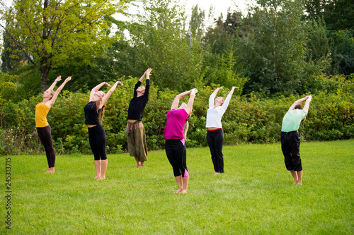 A group of yogis on the lawn stretch © artem_goncharov