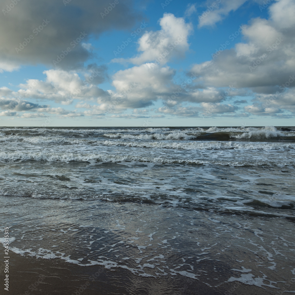 Fototapeta premium Baltic sea coastline.