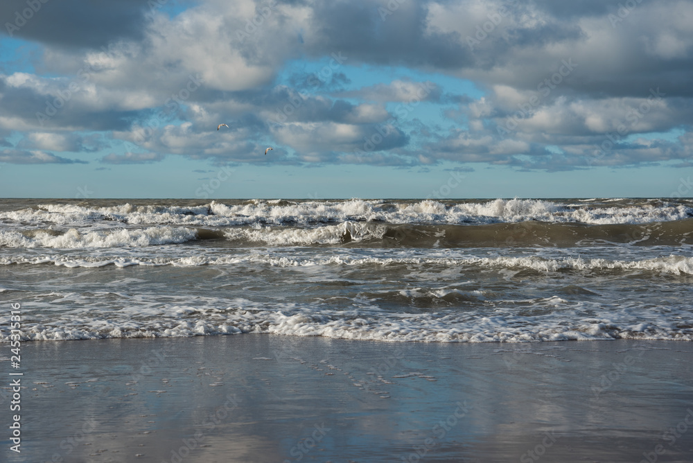 Baltic sea coastline. Baltic sea coastline.