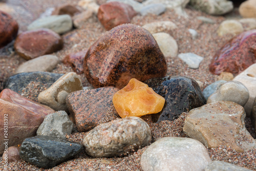 Amber on a beach.