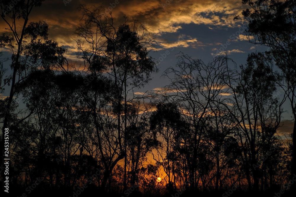 Naklejka premium Sunset in Australia, 2019