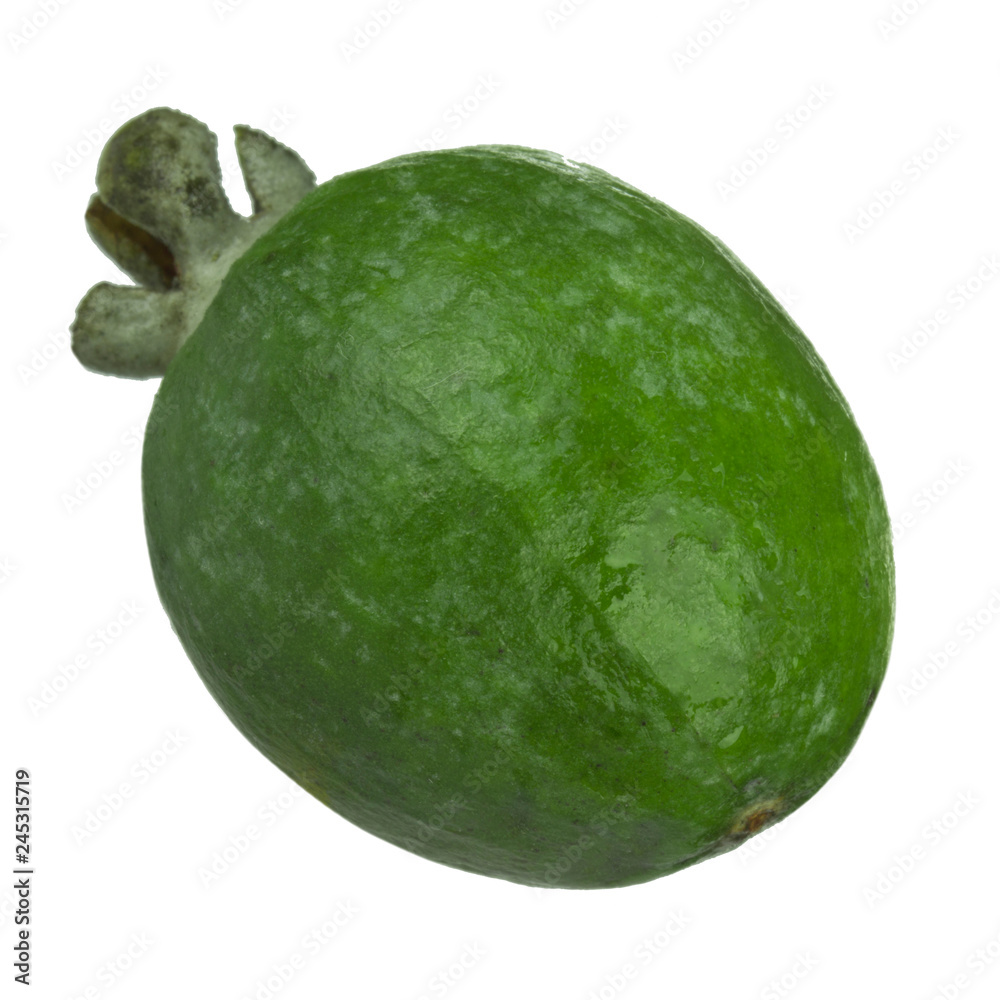 fresh feijoa isolated on white background fresh feijoa isolated on white background