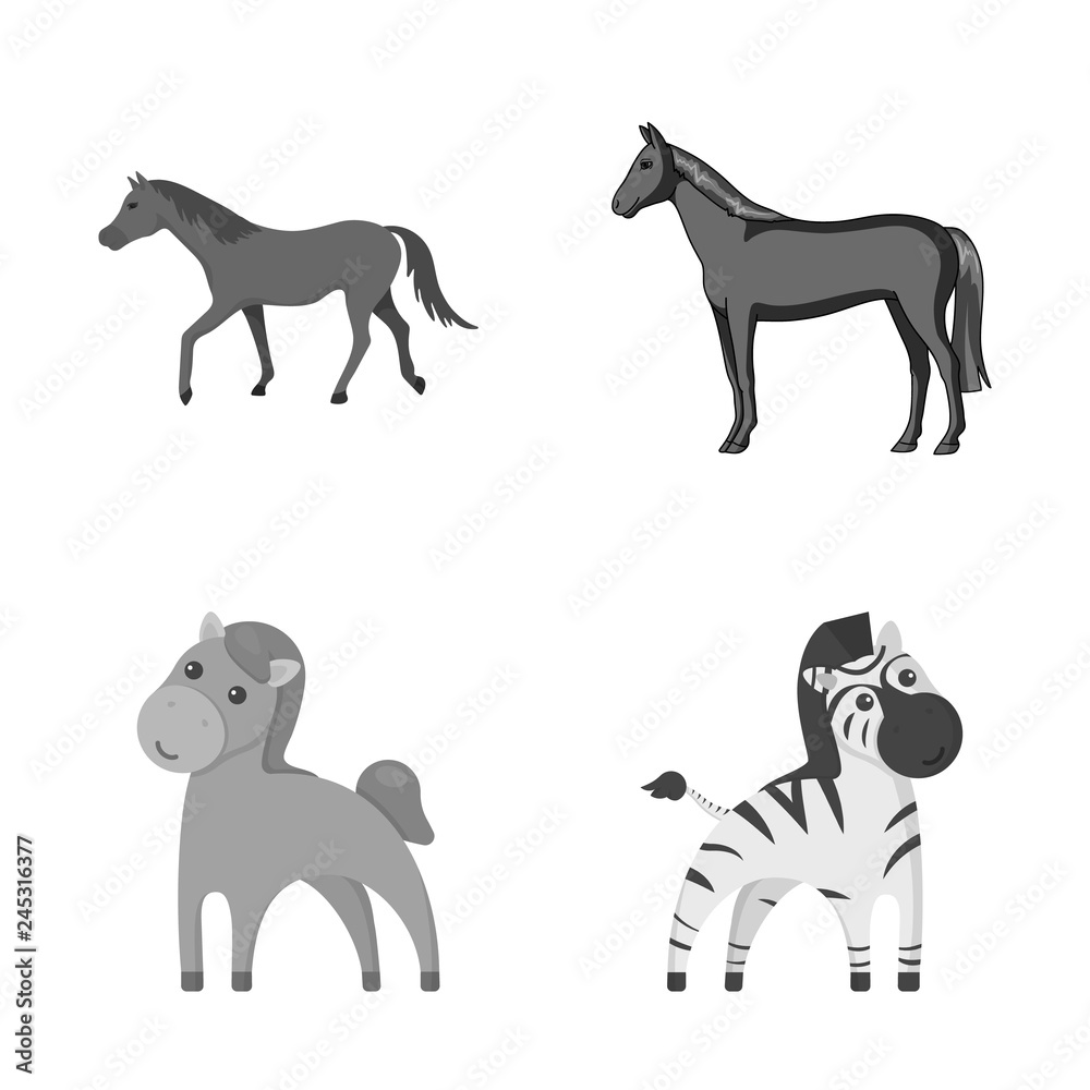 Vector design of trot and running logo. Collection of trot and clipart vector icon for stock.