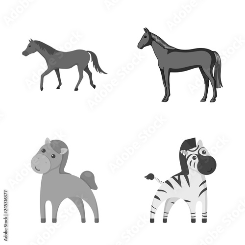 Vector design of trot and running logo. Collection of trot and clipart vector icon for stock.