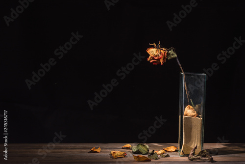 withered rose in glass vase, dry flower petals and leaves falling on table