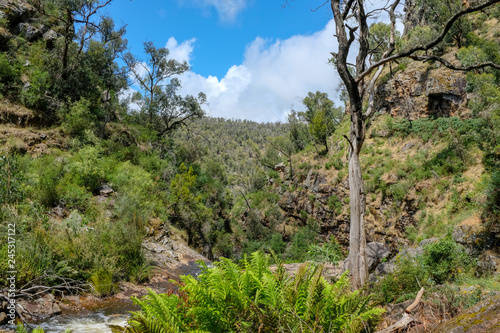 Mackenzie Falls, Australien, 2019