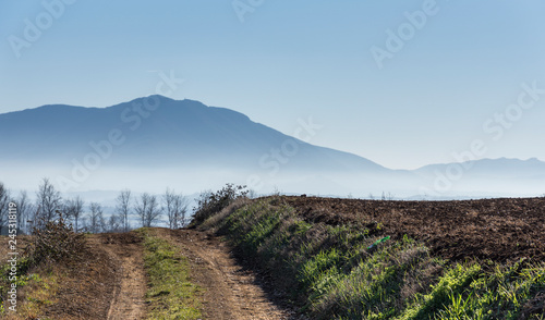 Wallpaper Mural rural landscape with fog and mountains Torontodigital.ca