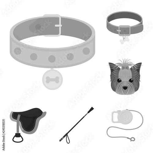 Isolated object of pet and accessories symbol. Set of pet and shop stock symbol for web. photo