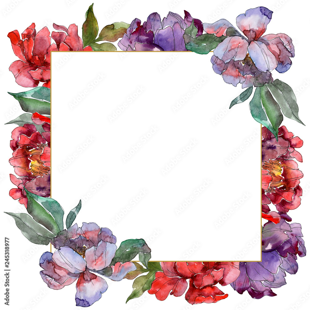Fototapeta Red and purple peony floral botanical flower. Watercolor background illustration set. Frame border ornament square.