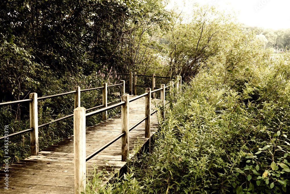 Boardwalk, Walkway bridge in park in State of Michigan near by lake. Travel background. Boardwalk, Walkway bridge in park in State of Michigan near by lake. Travel background.