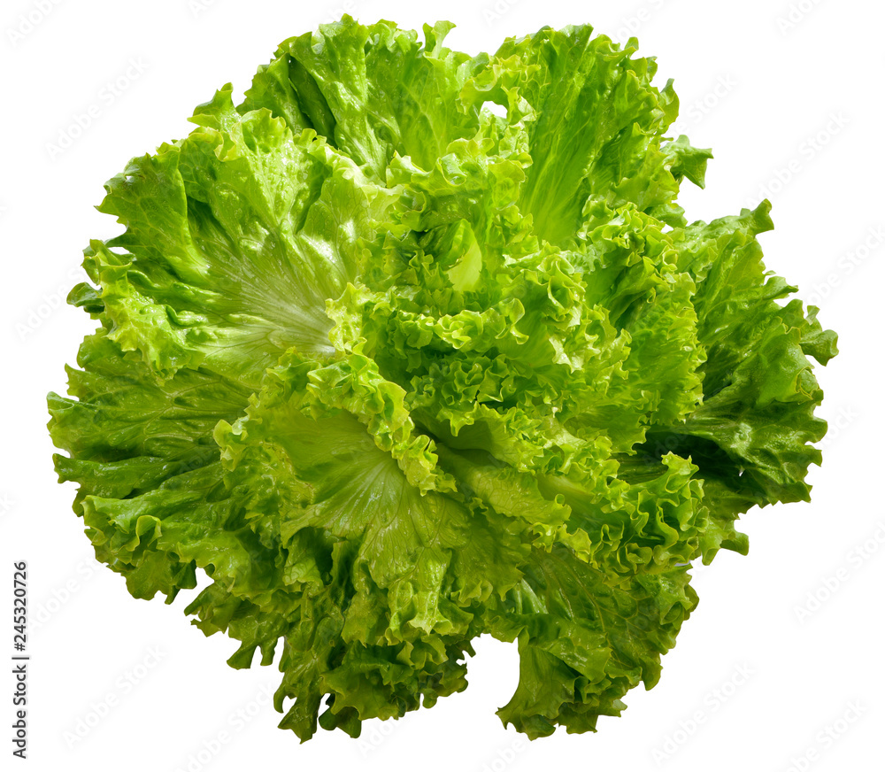 Obraz premium Cespo di insalata