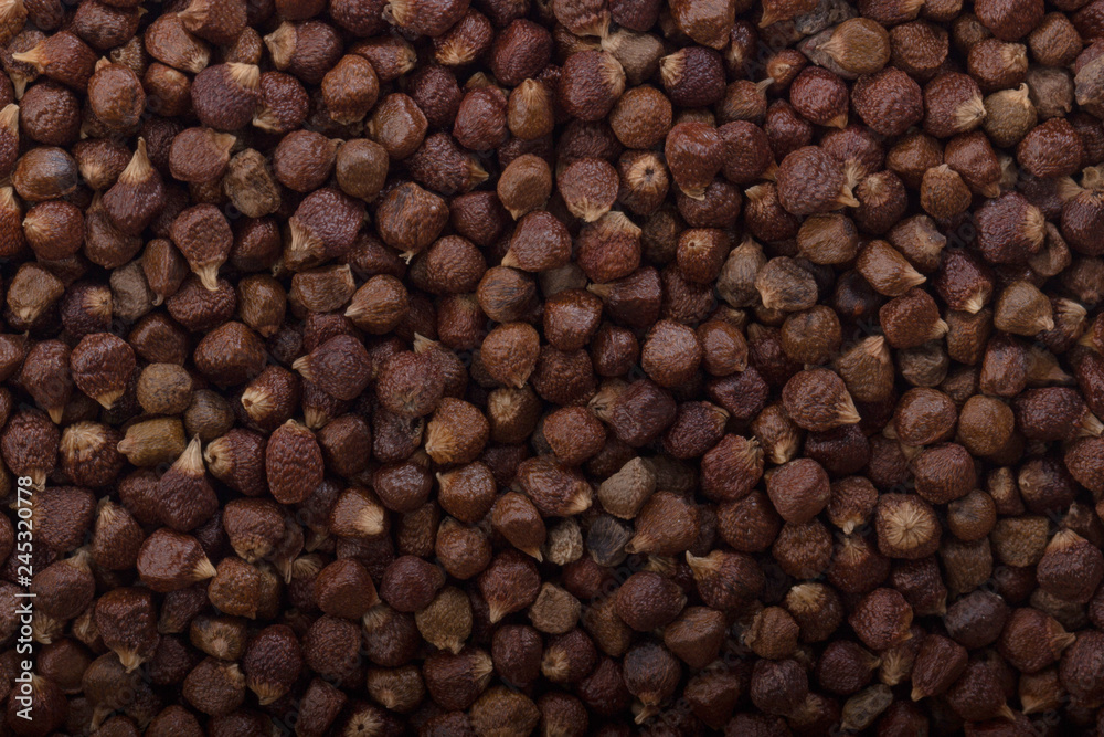 Grains of paradise background Grains of paradise background