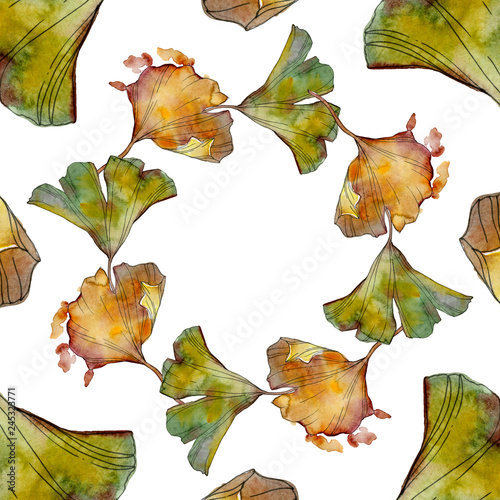 Ginkgo biloba leaf. Watercolor background illustration set. Frame border ornament square.