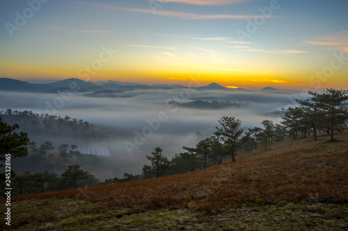 The sun growing up in an early morning at Da Lat city, nice view from top of pine hill, Under the sun, the fog became like gold 