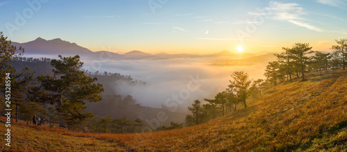 The sun growing up in an early morning at Da Lat city, nice view from top of pine hill, Under the sun, the fog became like gold 